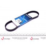 Ремінь генератора Land Rover Freelander 1.8 16V 00-06 