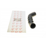 Патрубок інтеркулера (нижній/R) Audi A6 2.0 TDI 08-11 