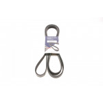 Ремінь генератора MB W211 55 AMG 02-08 (6PK2442) 