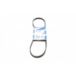 Ремінь генератора поліклиновий Hyundai Tucson/i30/Kia Sportage/Carens/Ceed/Suzuki Grand Vitara 04-/Audi/BMW/Mazda 