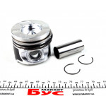 Поршень Renault Kangoo 1.5dCi 01- (76.00mm/STD) = 7138440000 