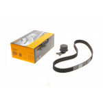 Комплект ГРМ BMW 3 (E21/E30)/5 (E28/E34) 2.0-2.5i 77-91 (25x127z) 