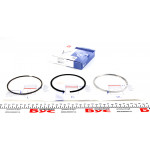 Кільця поршневі Citroen Jumper 3.0HDi 06-/10- (95.80mm/STD)(2.5-2.0-2.5) = 8920070000 