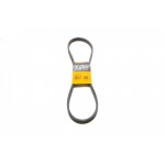 Ремінь генератора VW Polo 1.4 TDI 99-01 