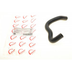 Патрубок системи охолодження Ford Transit 2.2 TDCi 06- (теплообмінника) 