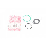 Прокладка клапана EGR VW Caddy III 1.9/2.0 TDI 04-10 (к-кт) 