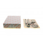 Комплект ланцюга ГРМ Renault Trafic 2.0dCi 06- (ланцюг, натяжник, шестерня) 