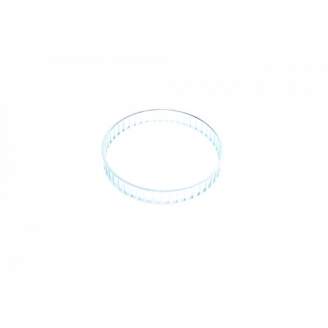 Кільце ABS (переднє) Ford Galaxy/VW Sharan 97-10