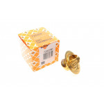 Термостат Nissan Micra II 1.0/1.3i 92-00/Audi TT 1.8T 05-06 (82°) 