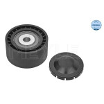 Ролик генератора Renault Trafic/Opel Vivaro 2.0DCI 06- (паразитний) (60х30) 