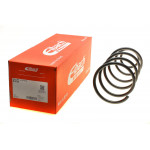 Пружина (передня) Peugeot 307/SW 1.4-2.0/1.6HDi 00-09 (нахил.зад.ч/унів) 