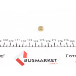 Заглушка блоку циліндрів (d=10mm) Латунь/Brass 