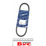 Ремінь генератора Citroen Jumpy/Peugeot Expert 1.6i 96-(10x675) 