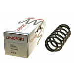 Пружина (задня) VW Passat CC 1.4TSI/1.8TSI/2.0TDI/TFSI 08-12 (купе)/Touran 1.9-2.0TDI 03-10 (вен) 