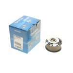 Ролик ГРМ VW T5 1.9TDI 03- (натяжний) 