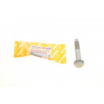 Болт амортизатора (переднього) Opel Movano / Renault Master 98-09 (M14x2x95) 