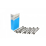 Болти головки (к-кт 10шт.) VW Caddy II 1.4 95-03/Skoda Fabia 1.2 01-07 