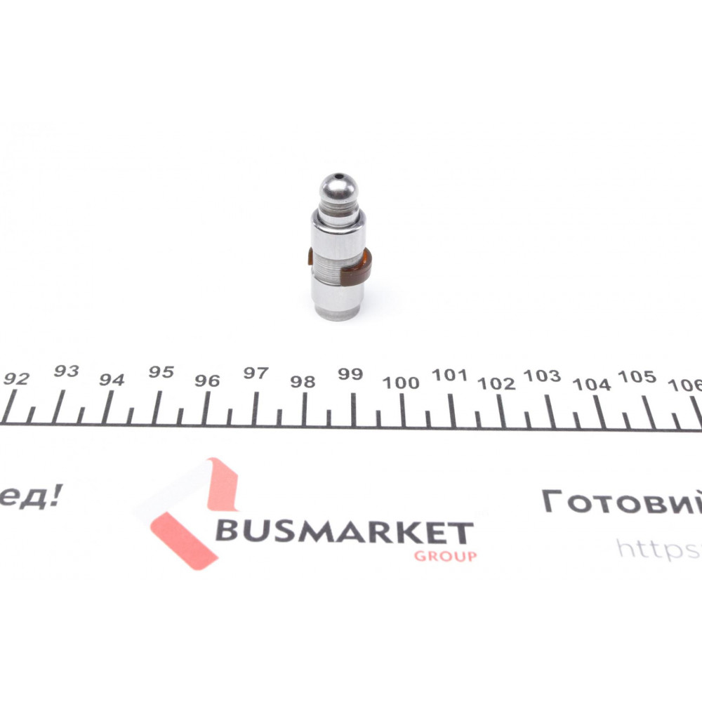 Гідрокомпенсатор BMW X3 (E83/F25)/X5 (E70) 03-, M47/M57/N47/N57