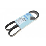 Ремінь генератора Fiat Ducato/ Citroen Jumper 1.9D/TD 94-/ Renault Trafic 2.5dCI 03- 