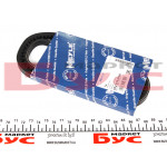 Ремінь генератора MB W126 M116/117 (10x750) 