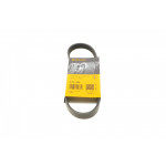 Ремінь генератора Ford Mondeo I/II 1.8TD 93-00 