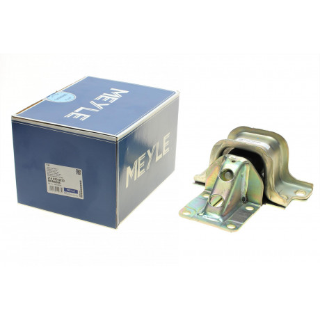 Подушка двигуна (L) Fiat Ducato/Citroen Jumper/Peugeot Boxer 2.2HDi-2.3D 06-