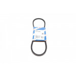 Ремінь генератора VW Jetta 1.6/1.8 82-92/Seat Toledo 1.6-2.0 91-99/Ford Transit 2.0 77-86 (10x864) 