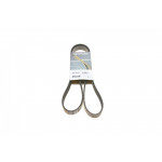 Ремінь генератора Fiat Ducato 2.0JTD 01- (ALT, AC) HD 