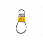 Ремінь генератора Chrysler Voyager IV 2.5/2.8CRD 00-08 