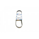 Ремінь генератора BMW 3 (E46)/X5 (E53)/5 (E39) 2.5D/3.0D 98-06 (5PK813) 