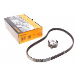 Комплект ГРМ Citroen Berlingo/C2/C3/Peugeot Partner/106/206/306 1.1i 96- (17x100z) 