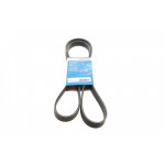 Ремінь генератора Citroen Berlingo 1.6HDi 05-11/Jumpy 2.0 00-06 (6PK1705) 