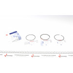 Кільця поршневі VW Crafter/T6 2.0TDI 15- (81.00mm/STD) (1.75-2-2) = 8950000000 