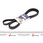 Ремінь генератора Audi 100/A6 4.2 V8 92-97/A8 3.3 