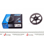 Шестерня розподільного валу Renault Kangoo 1.2 16V 01-08 