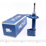 Амортизатор (передній) Citroen C4 II 09- (R) 