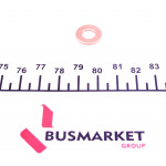 Шайба під форсунку Citroen Berlingo 2.0HDI/Fiat Doblo 1.3D Multijet 