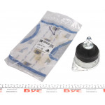 Подушка двигуна (передня) (R) Citroen Jumpy/ Fiat Scudo/Peugeot Expert 1.9-2.0 TD/JTD 95-06 