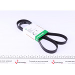 Ремінь генератора Citroen Berlingo 1.6/1.9D 01- (+AC) 