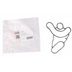 Прокладка радіатора масляного MB OM611/612/646 