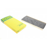 Фільтр салону Ford Focus/Tourneo Connect/Transit Connect 02-13 (вугільний) 