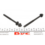 Болт головки Fiat Ducato/Iveco 3.0D Multijet (M8x112) 