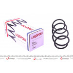 Пружина (передня) Nissan Micra III 1.0 16V/1.2 16V/1.4 16V 03-10 (нах.зад.частина) 