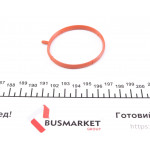 Прокладка корпуса колектора впускного BMW 3 (E46)/Z3 (E36) 1.6/1.9 98- 