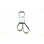 Ремінь генератора Renault Espace/Laguna 2.2dT 93-01 (6PK1950) 