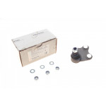 Опора кульова (передня/знизу/L) Audi A1 10-/Seat Ibiza 02-15/Skoda Fabia 99-14/Rapid 12-/VW Polo 01 