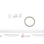 Прокладка патрубка інтеркулера ущільнююча VW T5 (67.9mm) 