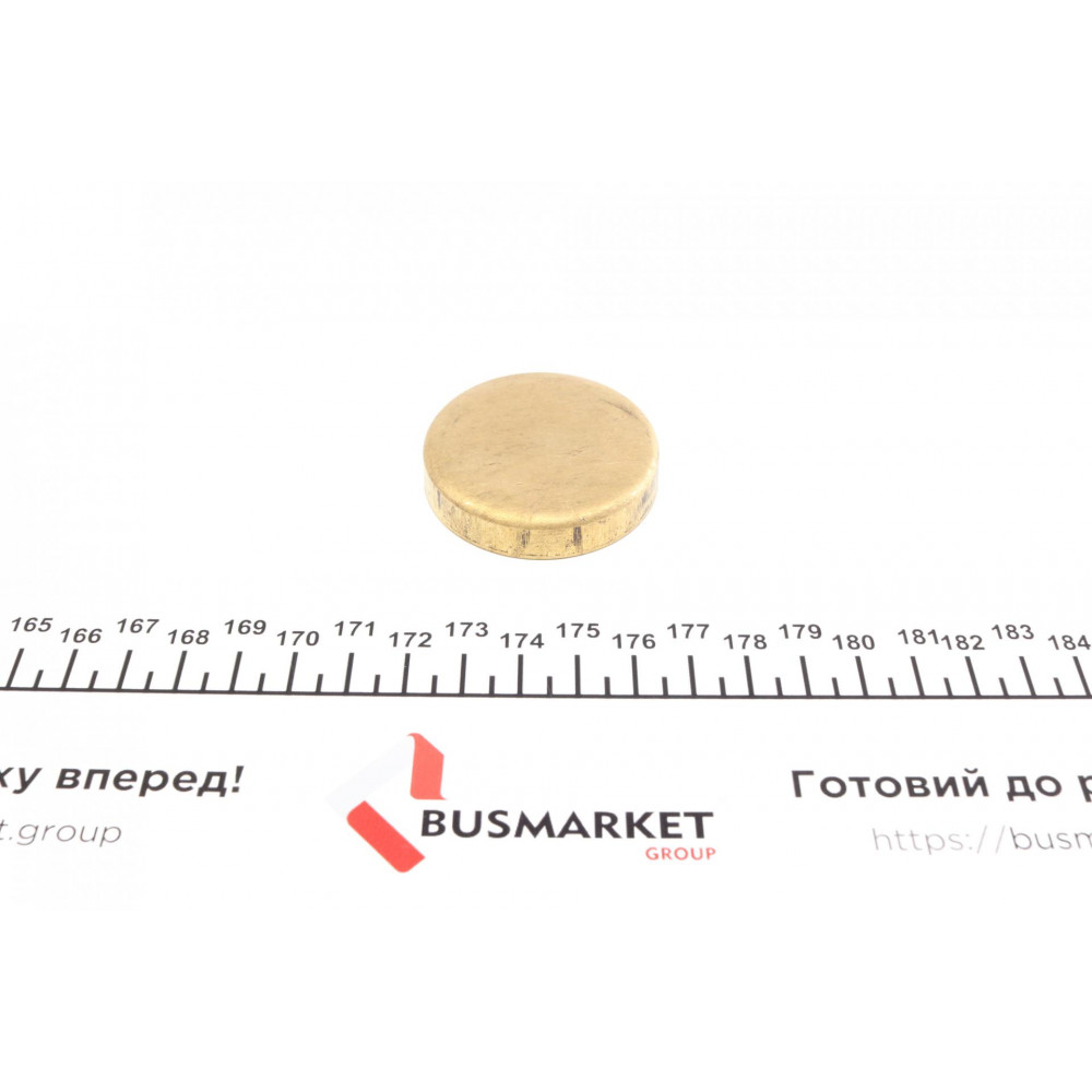 Заглушка блоку циліндрів (d=47mm) Латунь/Brass