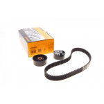 Комплект ГРМ Renault Trafic/Master/Opel Movano/Vivaro 2.5dCi/CDTI 01- (25x89z) 