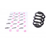 Пружина (задня) MB Vito (W638) 96-03 9 (STD з тонким витком) 